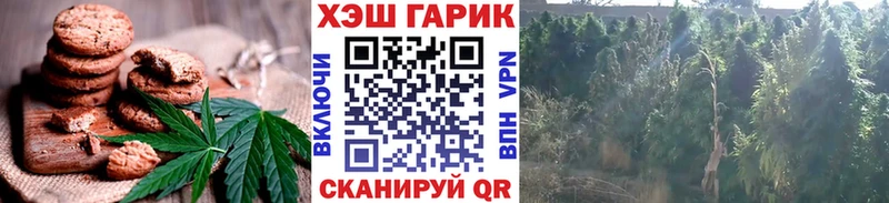 Cannafood конопля Ужур