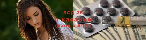 крисы Аркадак