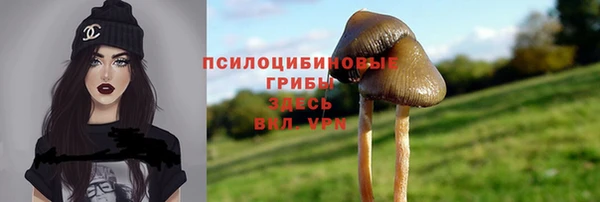 амф Арсеньев