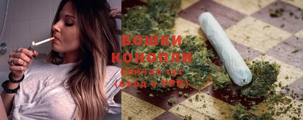 крисы Аркадак