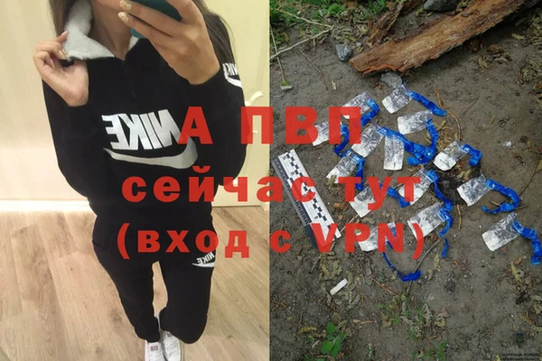крисы Аркадак
